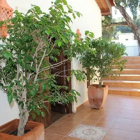 14812 - Luxury Near Marbella Ojén